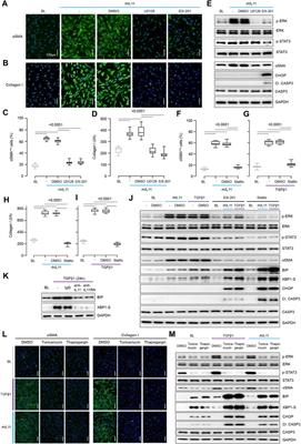 Molecular Dissection of Pro-Fibrotic IL11 Signaling in Cardiac and Pulmonary Fibroblasts